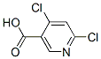 4,6-DichloronicotinicAcid Structure