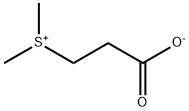 硫代甜菜碱,7314-30-9,结构式