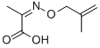 Propanoic acid, 2-[[(2-methyl-2-propenyl)oxy]imino]- (9CI),735221-46-2,结构式