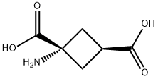 1-AMINOCYCLOBUTANE-CIS-1,3-DICARBOXYLIC ACID 化学構造式