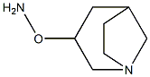 1-Azabicyclo[3.2.1]octane,3-(aminooxy)-,endo-(9CI) 结构式