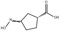 Cyclopentanecarboxylic acid, 3-(hydroxyimino)-, (R)- (9CI) Structure