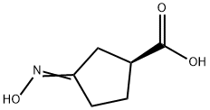 Cyclopentanecarboxylic acid, 3-(hydroxyimino)-, (S)- (9CI)|