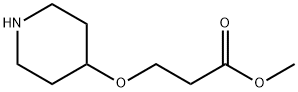 Propanoic acid, 3-(4-piperidinyloxy)-, methyl ester (9CI) 结构式