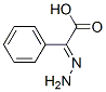 Benzeneacetic acid, alpha-hydrazono-, (E)- (9CI)|