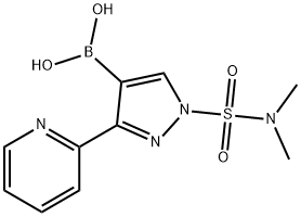 Boronic acid, [1-[(diMethylaMino)sulfonyl]-3-(2-pyridinyl)-1H-pyrazol-4-yl]- (9CI) 结构式