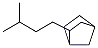 2-(3-Methylbutyl)bicyclo[2.2.1]heptane Structure