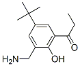 2-아미노메틸-4-tert-부틸-6-프로피오닐페놀