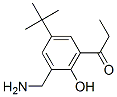 2-aminomethyl-4-tert-butyl-6-propionylphenol Structure