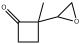 2-Methyl-2-oxiranylcyclobutanone|