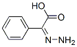 Benzeneacetic acid, alpha-hydrazono-, (Z)- (9CI) 结构式