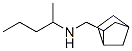 Bicyclo[2.2.1]heptane-2-methanamine, N-(1-methylbutyl)- (9CI) 结构式