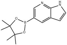 7-氮杂吲哚-5-硼酸频哪醇酯 结构式