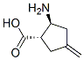 755750-29-9 Cyclopentanecarboxylic acid, 2-amino-4-methylene-, (1S,2S)- (9CI)