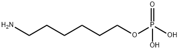 6-AMINO-1-HEXYL PHOSPHATE|6-氨基己基二氢磷酸酯