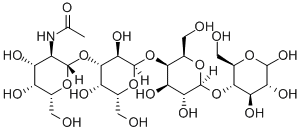 Globo-N-tetraose 化学構造式