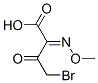 4-브로모-2-메톡시이미노-3-옥소부티르산