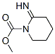 1-Piperidinecarboxylicacid,2-imino-,methylester(9CI) Struktur