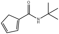 1,3-Cyclopentadiene-1-carboxamide,  N-(1,1-dimethylethyl)- Struktur