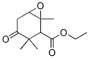 4-Oxo-1,3,3-trimethyl-7-oxabicyclo[4.1.0]heptane-2-carboxylic acid ethyl ester Struktur