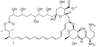 N-D-Ornithylamphotericin B methyl ester,76023-49-9,结构式