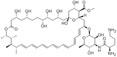 N-D-Ornithylamphotericin B methyl ester 结构式