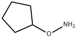 cyclopentyloxy amine 化学構造式