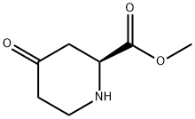 2-Piperidinecarboxylicacid,4-oxo-,methylester,(S)-(9CI) Struktur