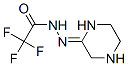 N'-[(2Z)-Piperazin-2-ylidene]trifluoroacetohydrazide Struktur