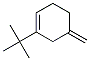 Cyclohexene, 1-(1,1-dimethylethyl)-5-methylene- (9CI) Struktur
