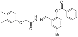 SALOR-INT L494453-1EA Structure