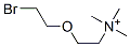 O-(2-bromoethyl)choline Structure