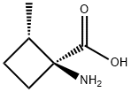 시클로부탄카르복실산,1-아미노-2-메틸-,(1S,2S)-(9CI)