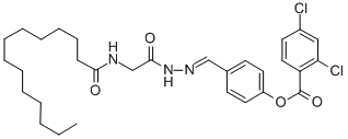 SALOR-INT L403016-1EA Structure