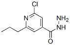 2-Chloro-6-propylisonicotinic hydrazide|