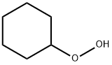766-07-4 cyclohexyl hydroperoxide