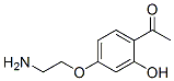 Ethanone, 1-[4-(2-aminoethoxy)-2-hydroxyphenyl]- (9CI)|