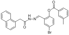 SALOR-INT L462489-1EA Struktur