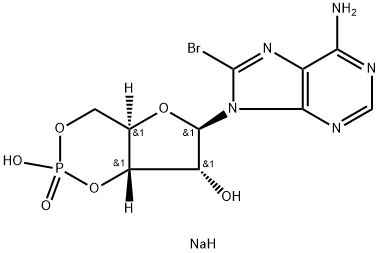 8-BROMOADENOSINE-3',5'-CYCLIC MONOPHOSPHATE SODIUM SALT