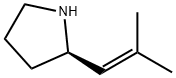 Pyrrolidine, 2-(2-methyl-1-propenyl)-, (+)- (9CI) Structure