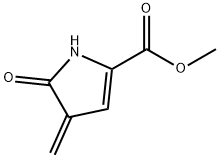 1H-Pyrrole-2-carboxylicacid,4,5-dihydro-4-methylene-5-oxo-,methylester(9CI) Struktur