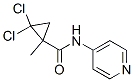 Cyclopropanecarboxamide, 2,2-dichloro-1-methyl-N-4-pyridinyl- (9CI) 化学構造式