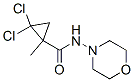 Cyclopropanecarboxamide, 2,2-dichloro-1-methyl-N-4-morpholinyl- (9CI) Struktur