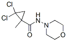 , 774589-23-0, 结构式