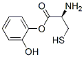 4-S-시스테닐카테콜