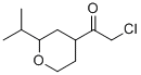 Ethanone, 2-chloro-1-[tetrahydro-2-(1-methylethyl)-2H-pyran-4-yl]- (9CI) Struktur