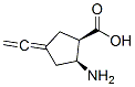 Cyclopentanecarboxylic acid, 2-amino-4-ethenylidene-, (1R,2S)- (9CI)|