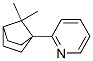 Pyridine, 2-(7,7-dimethylbicyclo[2.2.1]hept-1-yl)- (9CI),777799-13-0,结构式