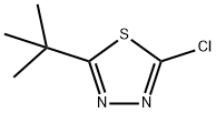 2-叔丁基-5-氯-1,3,4-噻二唑,77822-86-7,结构式