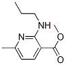 3-Pyridinecarboxylicacid,6-methyl-2-(propylamino)-,methylester(9CI) Structure